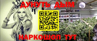 ПСИЛОЦИБИНОВЫЕ ГРИБЫ Канаш